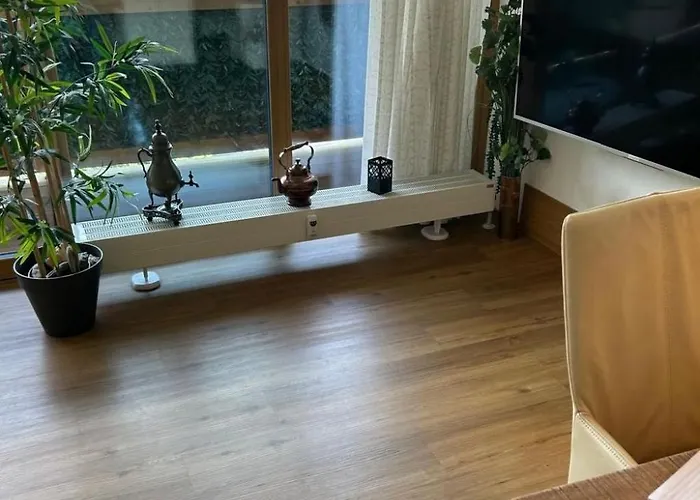 Appartamento Penthouse Overview By Krone By Interhome *